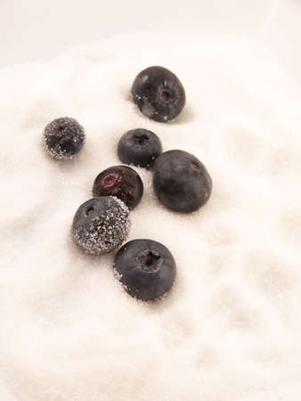 Image of ripe blueberries in white granulated sugar.の写真素材
