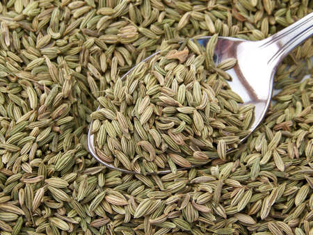 Image of dried fennel on a metal spoon, with other dried fennel surrounding.の写真素材