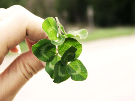 Image of a hand holding a bunch of bright green clover, with a curved line of grass in background.  Soft focus and horizontal orientation.の写真素材