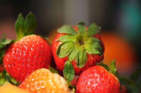 Collection of strawberries showing detail, including seeds, leaves, and stems.の写真素材