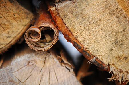 Closeup photograph of curled bark in stacked firewoodの写真素材