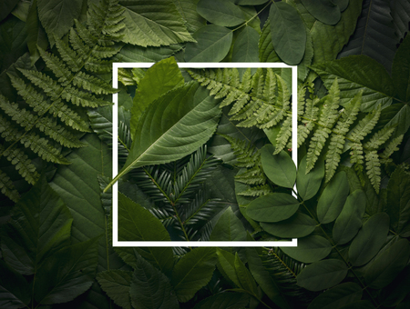 top view of creative layout made out of wild forest leaves with paper card note. Flat lay foliage....