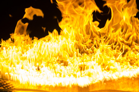 Isolated burning flame or fire on black background. の写真素材