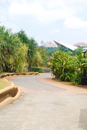 garden pathの写真素材
