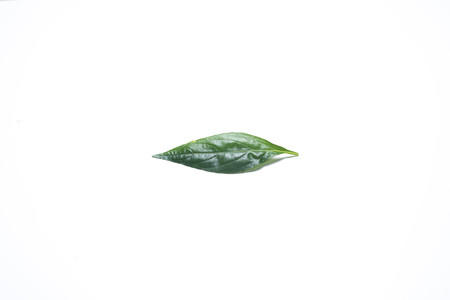 Live your leaf isolated on white background