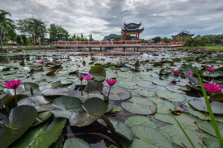 Taman Melati Recreation Park located at Kangar capital city of Perlis.の写真素材