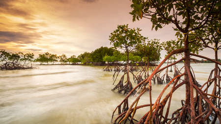 Port Dickson, or PD to locals, is a coastal town in Port Dickson District, Negeri Sembilan, Malaysiaの写真素材