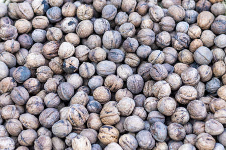Walnuts dry fruit background textureの写真素材