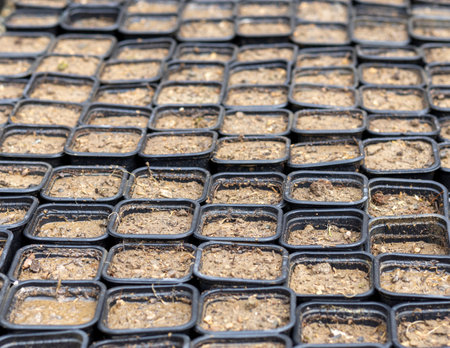 Small plastic containers filled with soilの写真素材