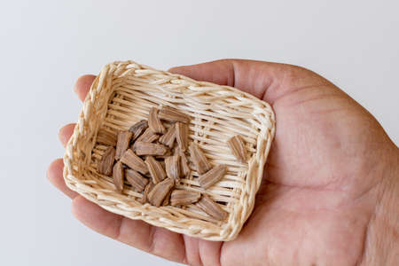 Bottle gourd seeds in a small basket holding in handの写真素材