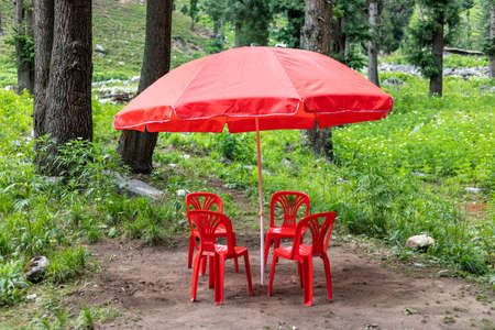 Chairs and table in the forestの写真素材