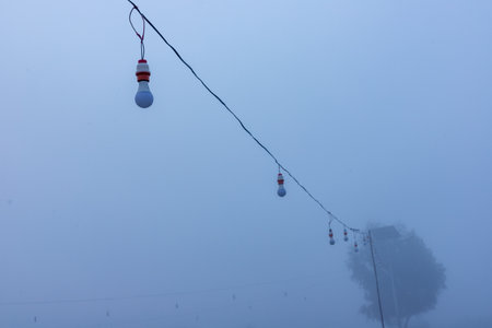 Light bulbs in a row in foggy weather outside in winterの写真素材