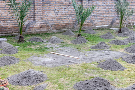 Preparing and leveling grass with the help of sandの写真素材