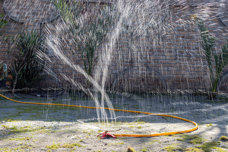 Watering the lawn with the sprinkler on a sunny day in spring. Selective focus.の写真素材