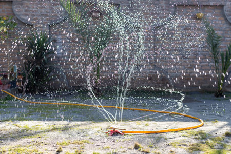 Garden sprinkler watering the lawn on a sunny day. Selective focus.の写真素材