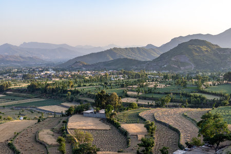 Beautiful scenery view of wheat fields harvested in summer from the mountainの写真素材
