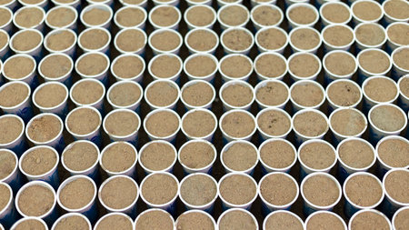 Disposable plastic cups filled with soil for seedlings at plant nurseryの写真素材