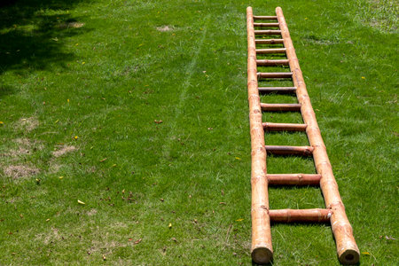 Bamboo ladder lay down in the grassの写真素材