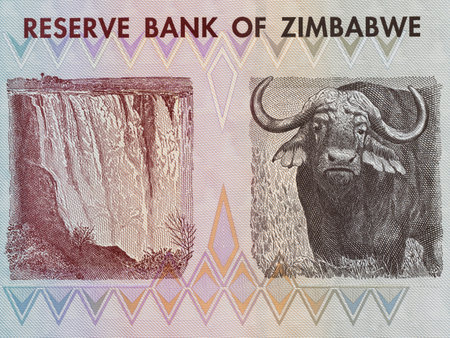 Portrait of a Victoria Falls (Mosi-oa-Tunya) and Water Buffalo Zimbabwe One Dollar Bill Closeupの写真素材