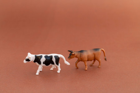 A pair of bull and cow on brown backgroundの写真素材