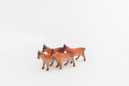 Short horn brown goat animal toy isolated on whiteの写真素材