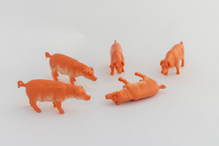 Group of miniature orange pig toys in a circle formation on white backgroundの写真素材
