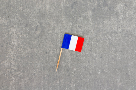 France Small Flag on Gray Backgroundの写真素材