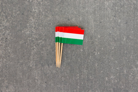 Miniature Hungarian Flags on Gray Backgroundの写真素材
