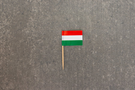 Small Hungarian Flag on Stick Against Stone Backgroundの写真素材