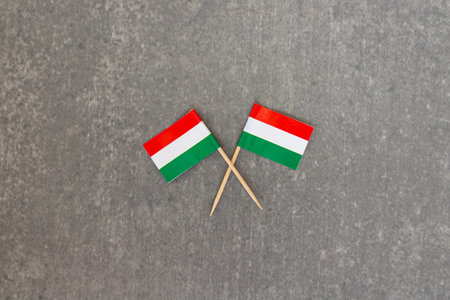 Two Crossed Hungarian Flags on Grey Backgroundの写真素材