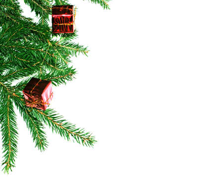 Fur-tree branch with small presents on a white backgroundの写真素材