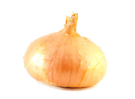 An onion isolated on a white backgroundの写真素材