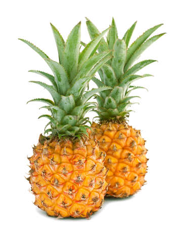 Two mini pineapples on a white backgroundの写真素材