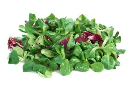 Corn salad and radicchio on a white backgroundの写真素材