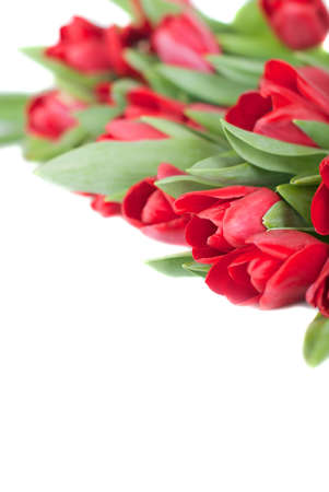 Bouquet from spring tulips on a white backgroundの写真素材