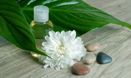 Essential oil with flower and stones.の写真素材