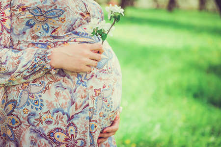 Pregnant woman on nature, holding your tummy and apple blossoming branchの写真素材