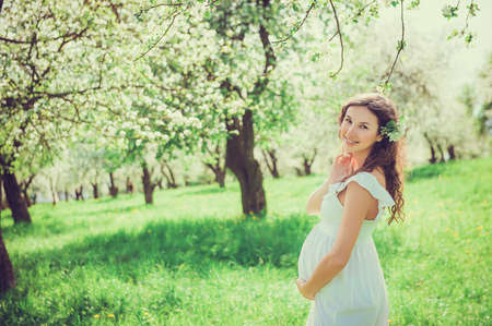 Pregnant woman in the apple orchard is holding tummyの写真素材