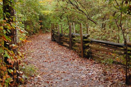 Walking trail bordered by fence and autumn leavesの写真素材