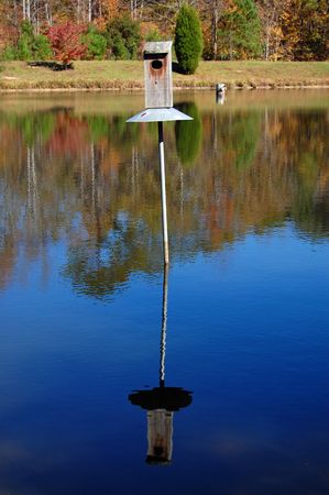 Birdhouse on the lake is being reflected in the waterの写真素材