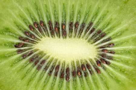 Macro of a kiwi slice -  focus on seedsの写真素材