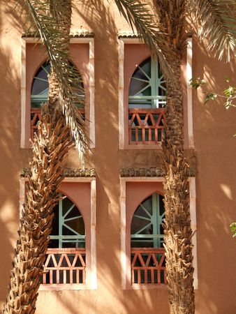 Tropical windowsの写真素材