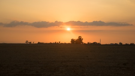Village and field landscape at sunsetの写真素材