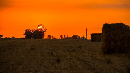Village and field landscape at sunsetの写真素材