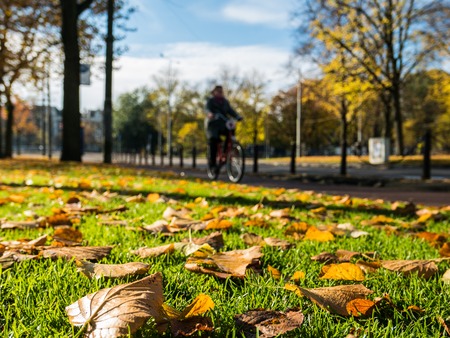Fall leaves background green, brown on grass and bikes passingの写真素材