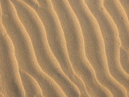 Sand background with waves and moud