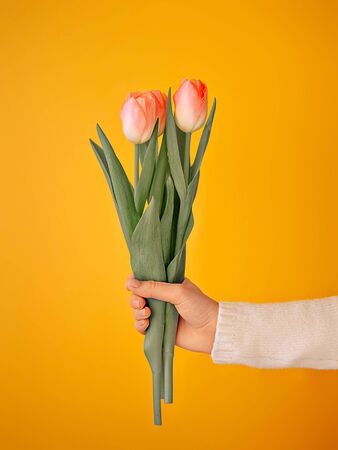 Woman hand with tulip flowers isolated on yellow, orange background wall. Vertical imageの写真素材