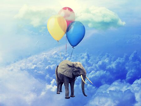 Flying Elephant concept. Image of Elephant attached to three balloons flying through a cloudy blue sky.  Flat style. Artistic design, raster illustration, photo manipulationの写真素材