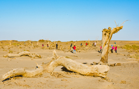 Ejina, Alxa League, Inner Mongoliaのeditorial素材