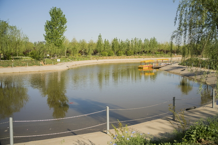 Landscape scenery view of a lake gardenの写真素材